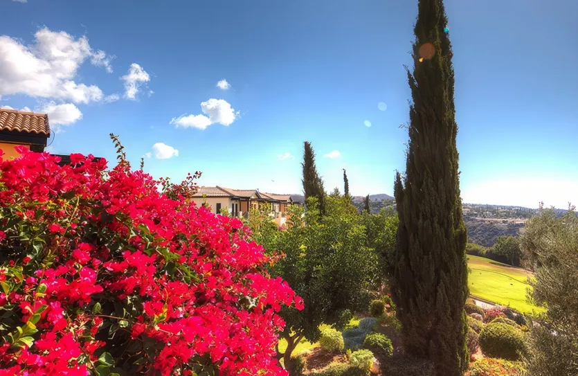 4 bedroom villa - 12486, photo 31