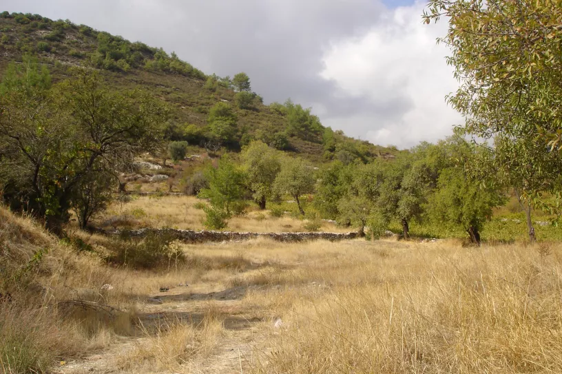 Residential plot for sale in Pera Pedi, Limassol, Cyprus - CM12633
