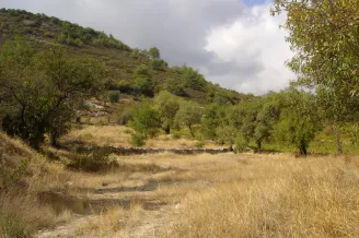 Residential plot in Pera Pedi, Limassol - 12633