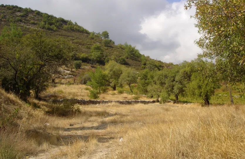 Residential plot for sale - 12633