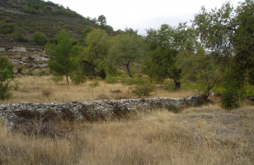 Residential plot - 12633, photo 2