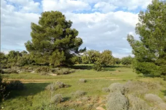 Plot in Souni–Zanakia, Limassol - 12762