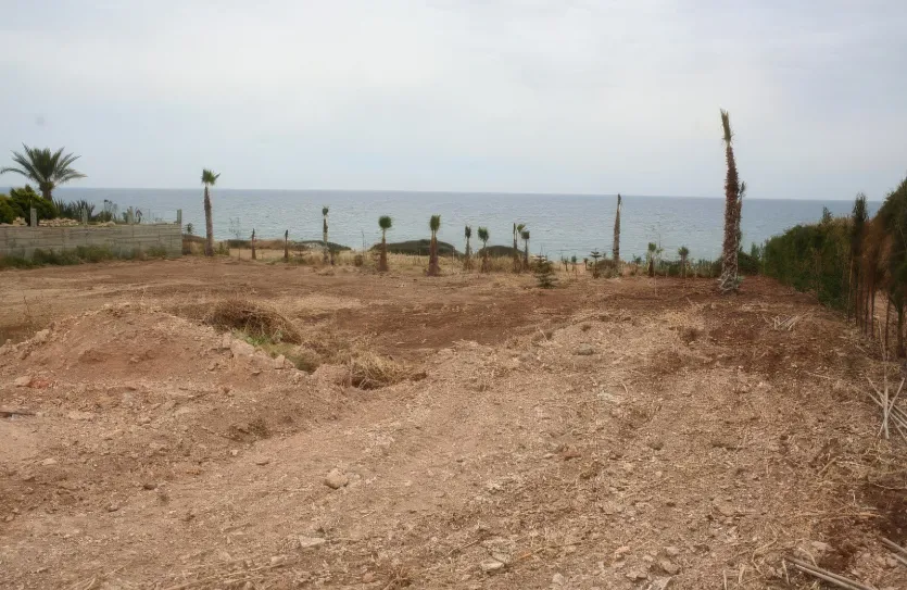 Земельный участок - 12809, photo 4