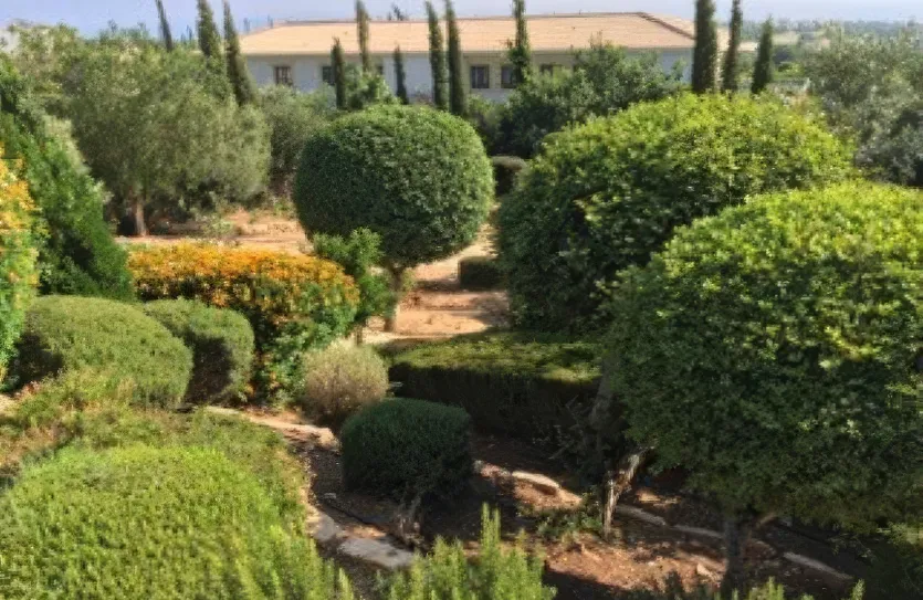 3 bedroom villa - 12972, photo 7