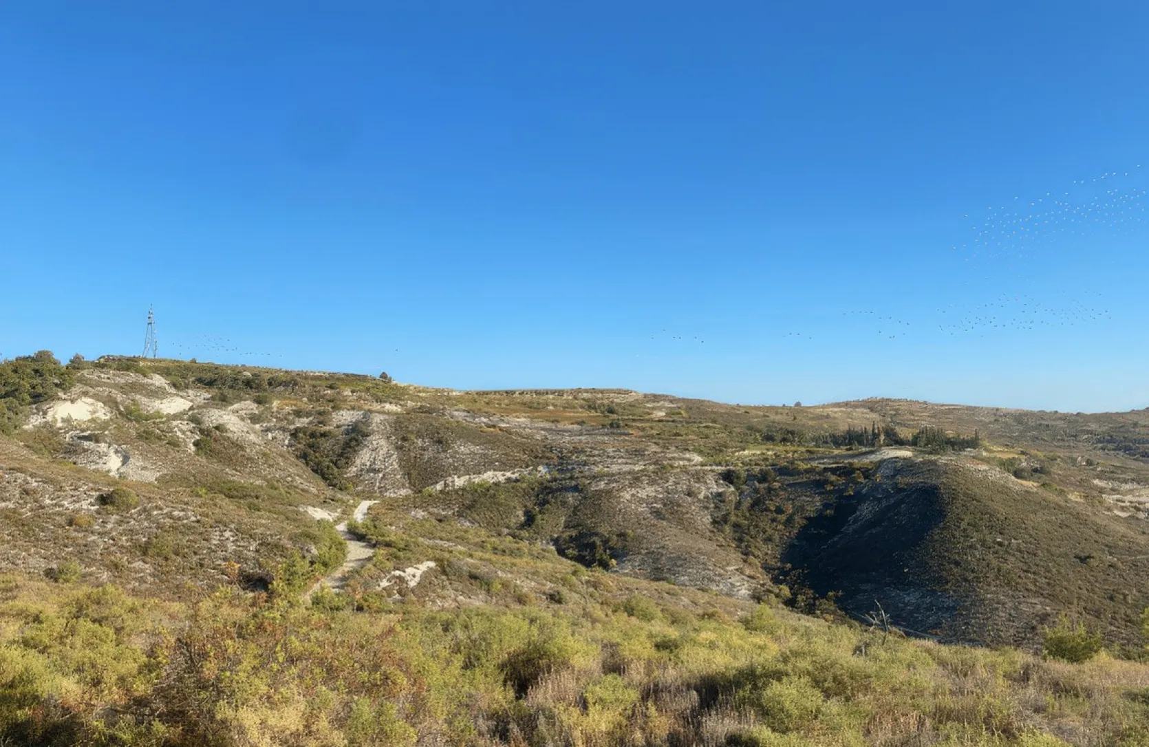 Plot for sale - 12978