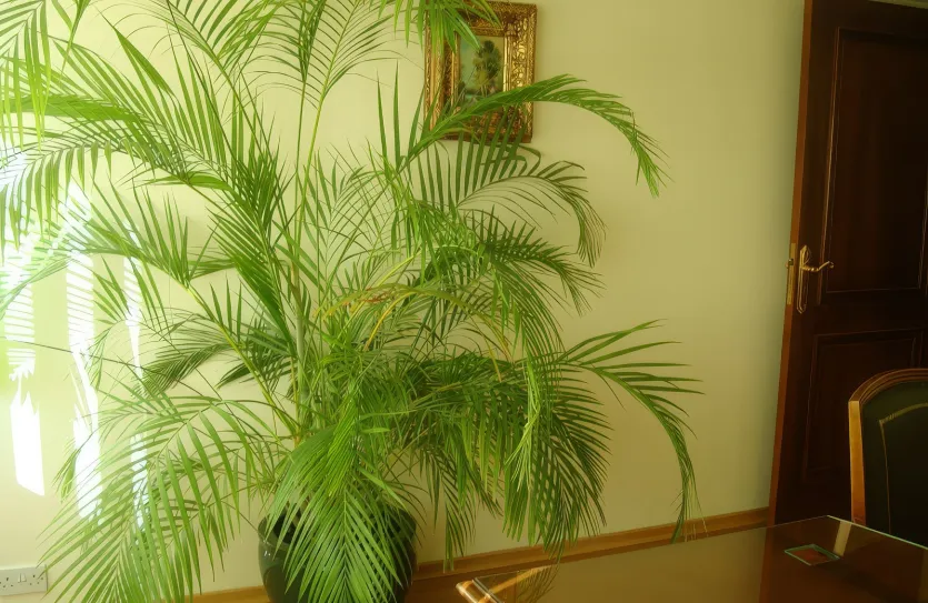 Office - 13034, photo 12