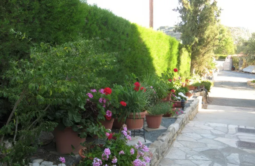 4 bedroom house - 13234, photo 4