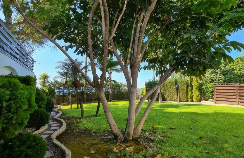 Дом с 4-мя спальнями - 13236, photo 9