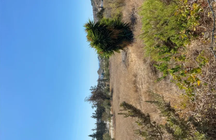 Residential plot - 13277, photo 5