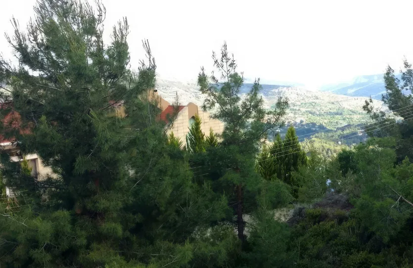 Дом с 9-ю спальнями - 13478, photo 4