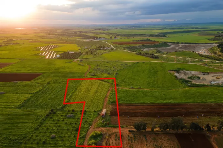 Land in Avgorou, Famagusta