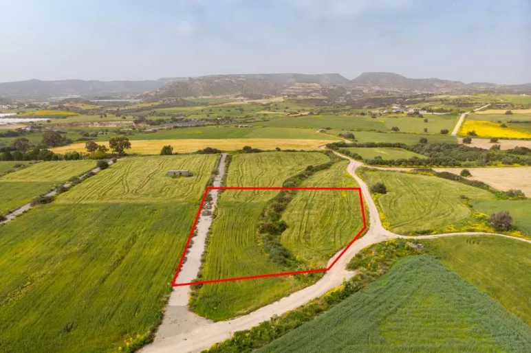 Land for sale in Maroni, Larnaca - 13646