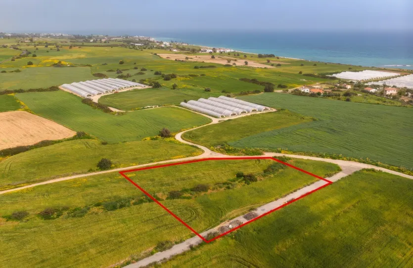 Земельный участок - 13646, photo 4