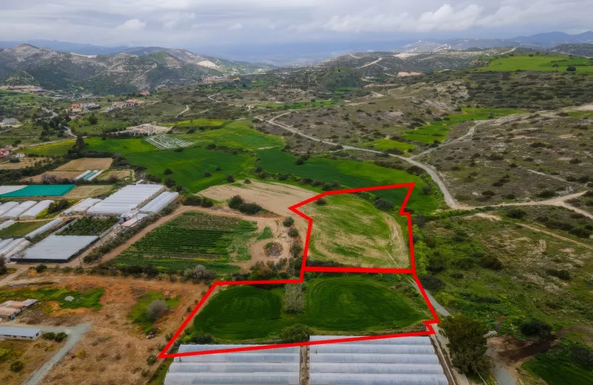 Земельный участок - 13625, photo 7