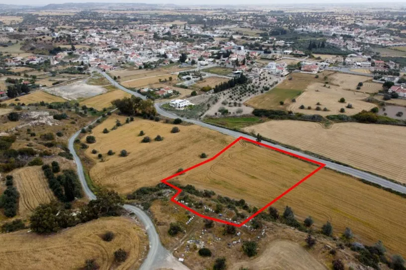Land for sale in Mazotos, Larnaca, Cyprus - 13610