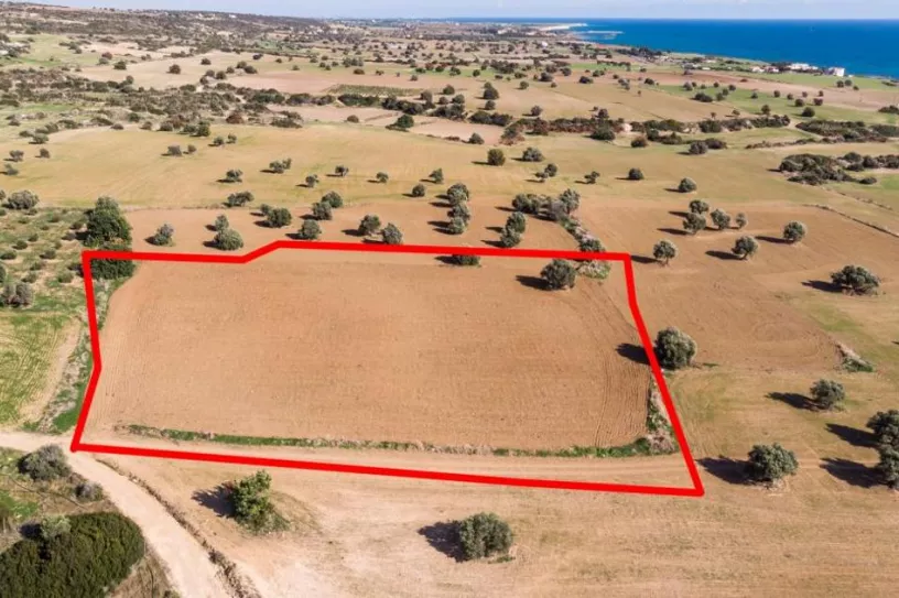 Land for sale in Agios Theodoros, Larnaca - 13576