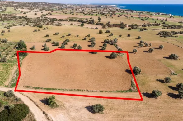 Land in Agios Theodoros, Larnaca - 13576