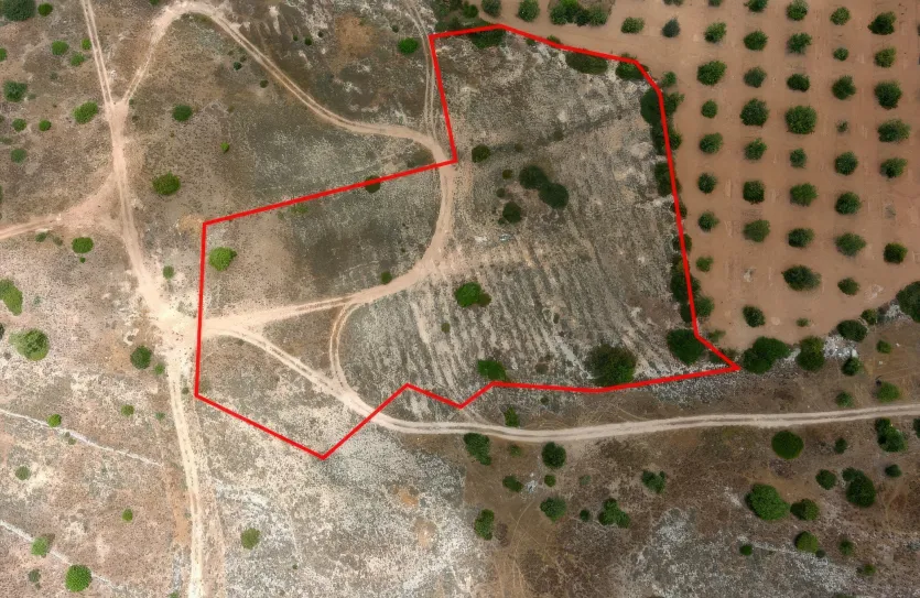 Земельный участок - 13674, photo 10