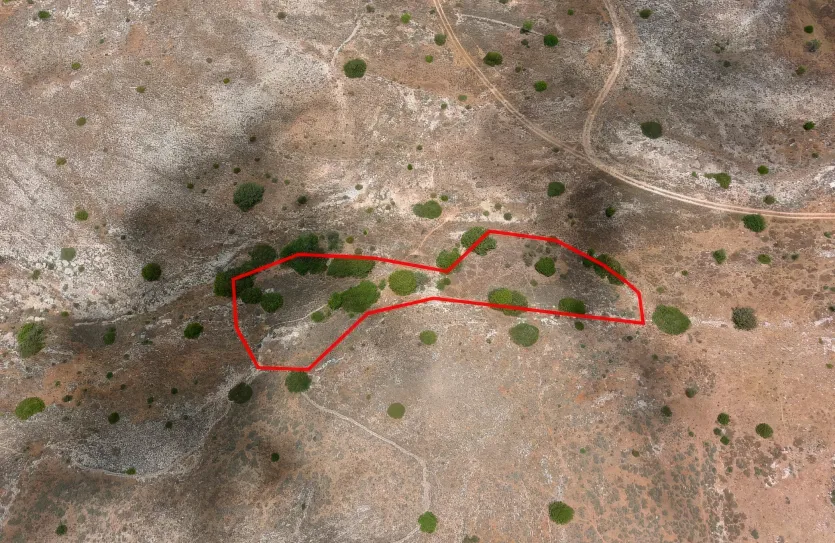 Земельный участок - 13674, photo 12