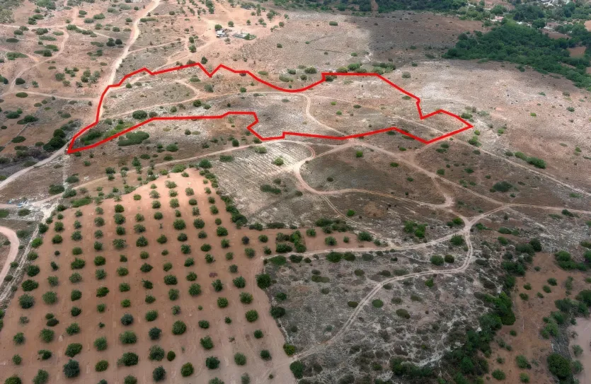 Земельный участок - 13674, photo 8