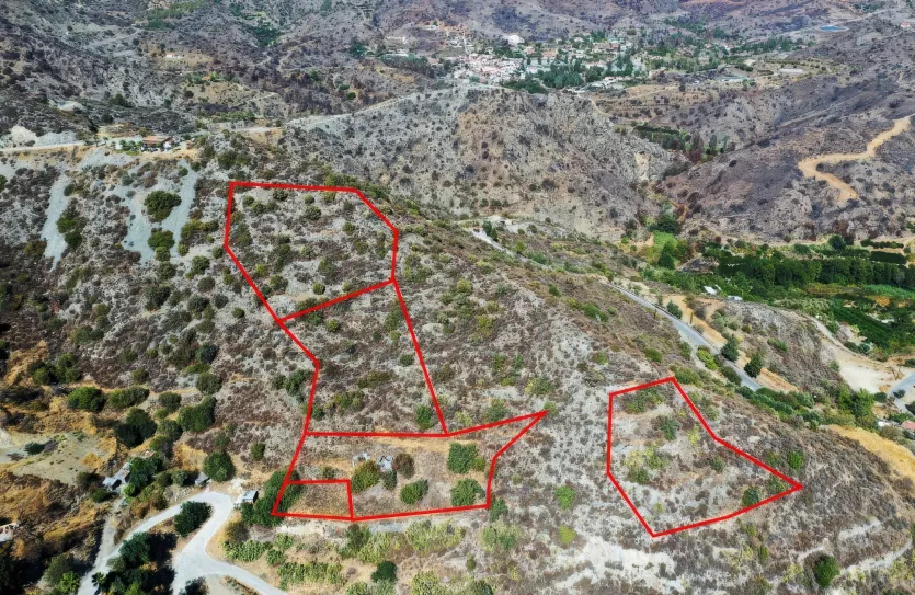 Land - 13669, photo 2