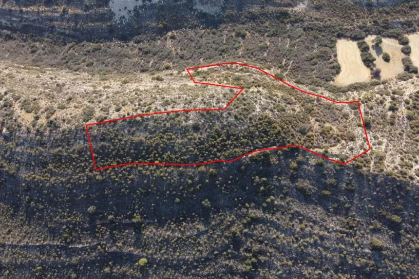 Land for sale in Agia Fyla, Limassol - 13668