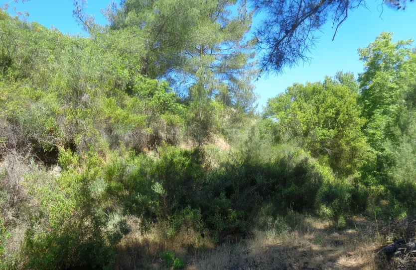 Land - 13652, photo 2