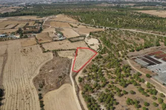 Land in Geri, Nicosia - 13596