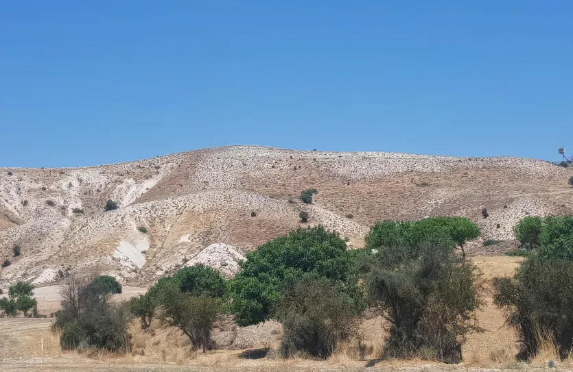 Land - 13564, photo 2