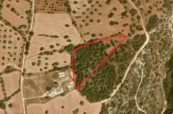 Land in Neo Chorio, Paphos - 13562