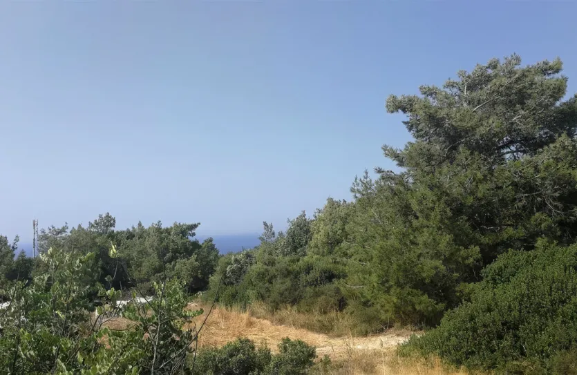 Земельный участок - 13562, photo 4