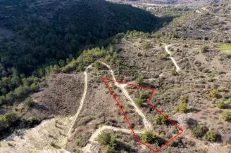 Land in Dora, Limassol - 13561