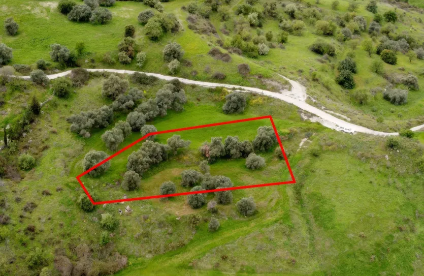 Land - 13560, photo 2