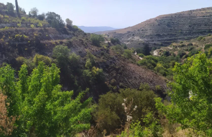 Land - 13557, photo 3