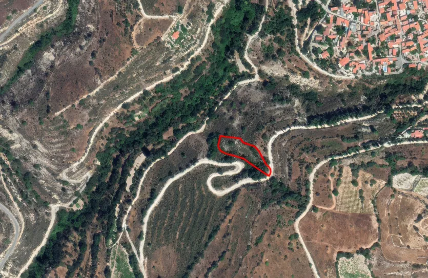 Land - 13557, photo 4