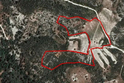 Land in Dora, Limassol - 13550
