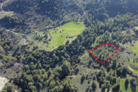 Land in Mousere, Paphos - 13547