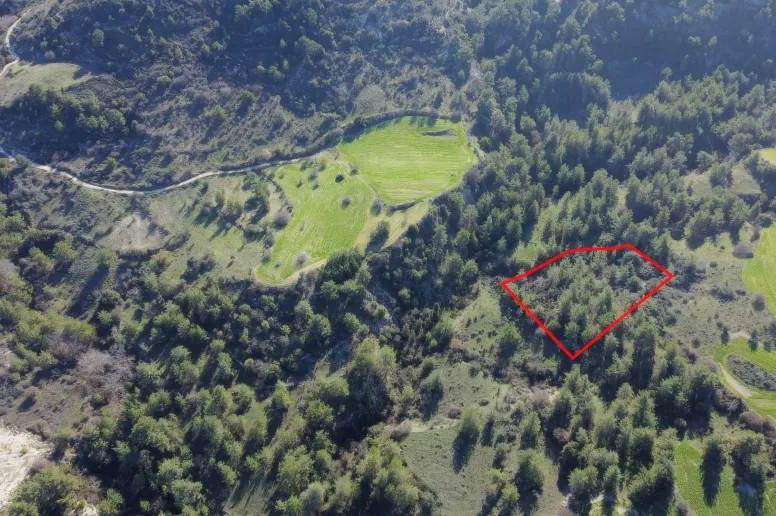 Land in Mousere, Paphos