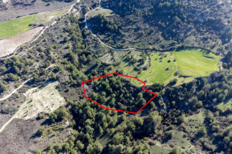 Land in Mousere, Paphos