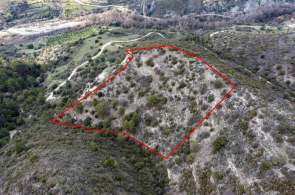 Land in Dora, Limassol - 13545
