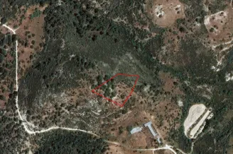 Land in Dora, Limassol - 13539