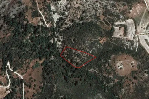 Land in Dora, Limassol - 13537
