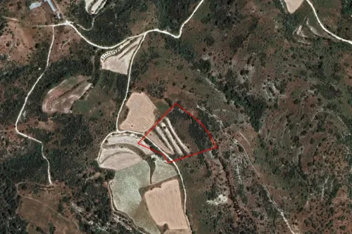 Land in Dora, Limassol - 13535
