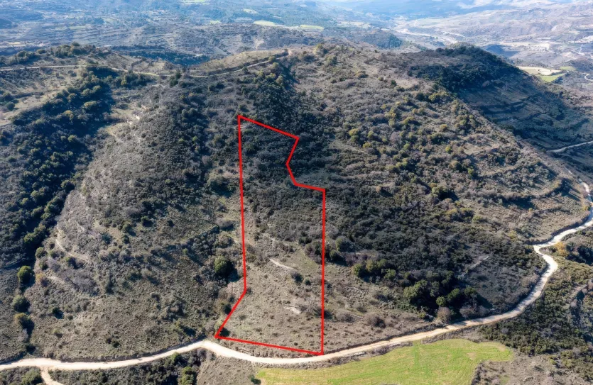 Land - 13531, photo 2