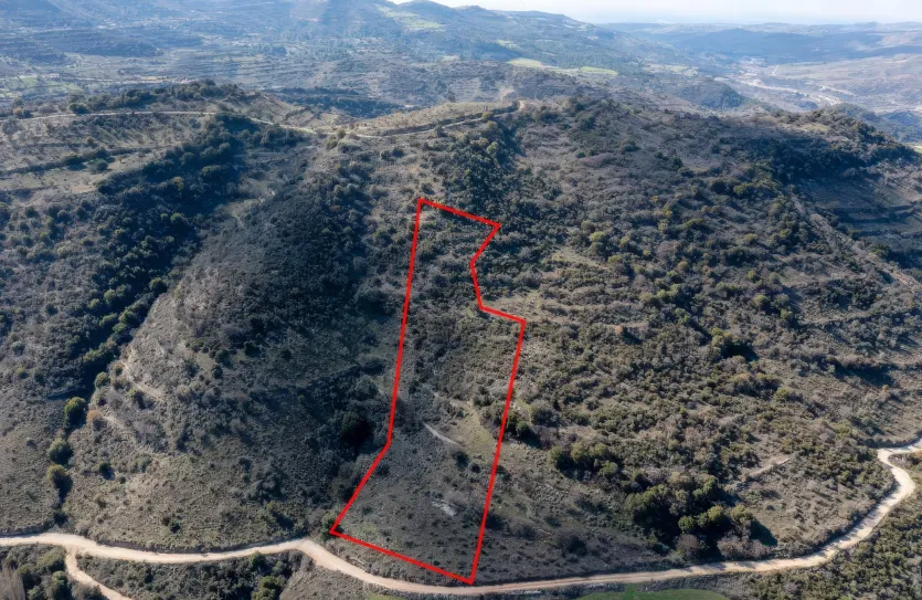 Land - 13531, photo 3
