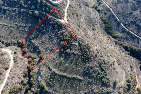 Land in Dora, Limassol - 13525