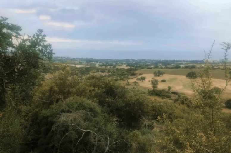 Участок в Агиос Тихонас, Лимассол