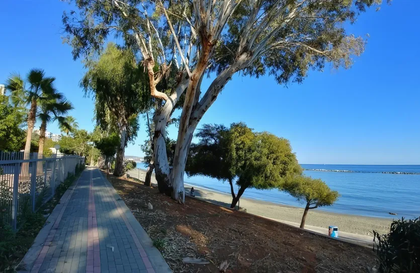 3 bedroom apartment for rent - 13851