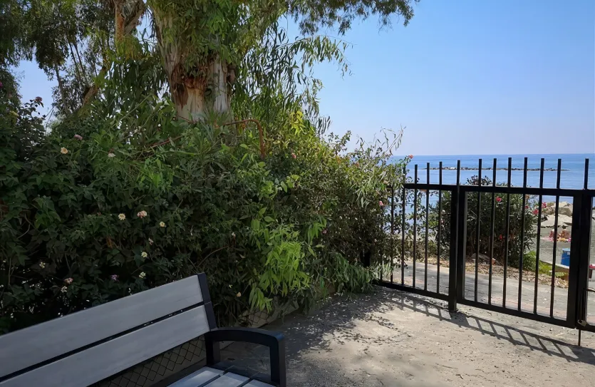 3 bedroom apartment - 13851, photo 6