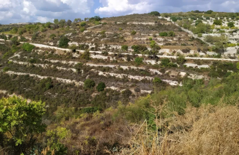 Plot for sale - 13554